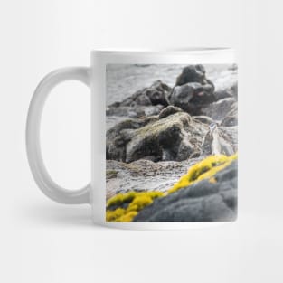 Black-crowned night heron of hawaii Mug